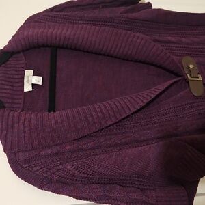 Plum CJ Banks 1x sweater